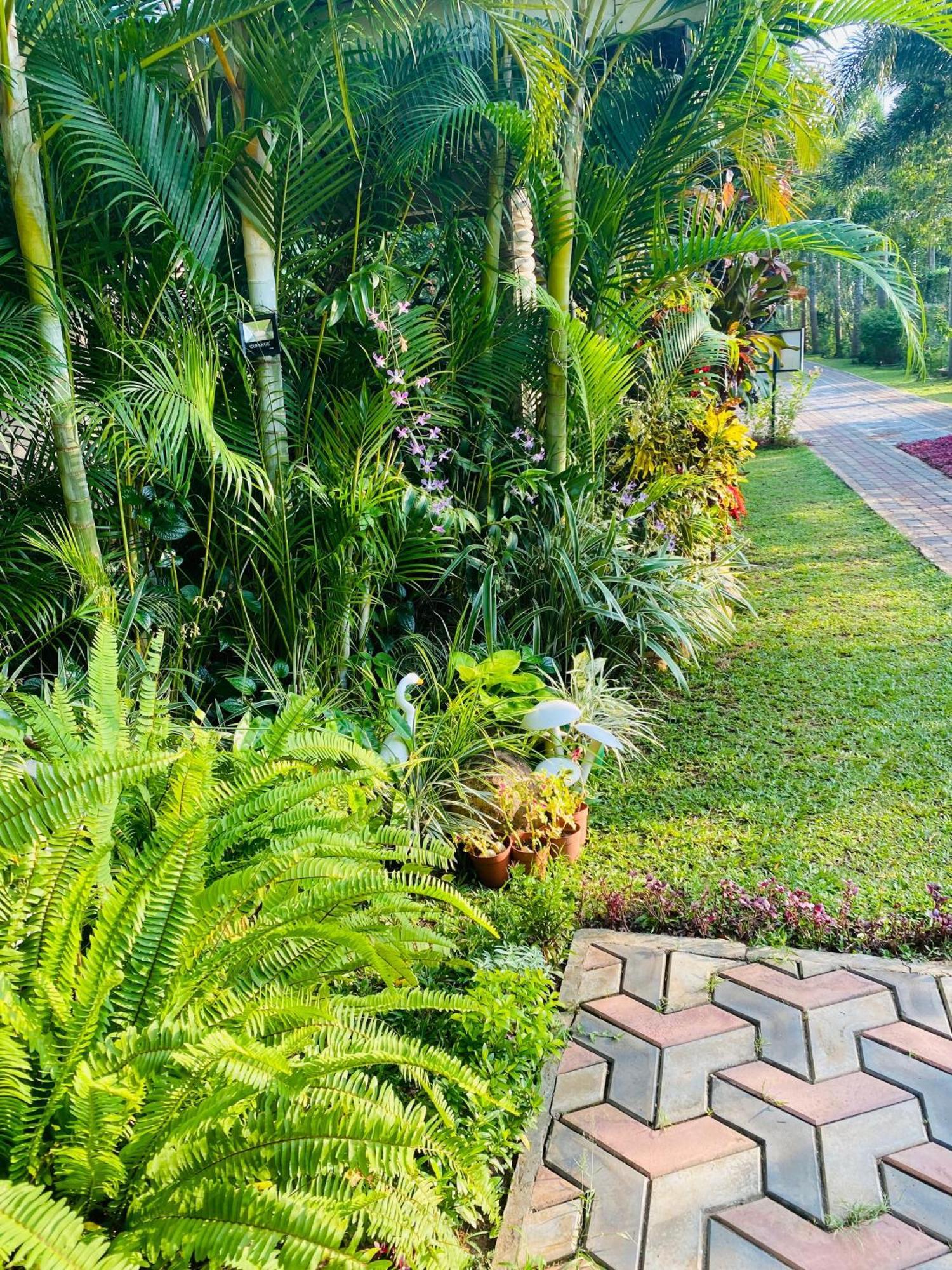 Waasala Leisure Hotel Anuradhapura Exterior foto