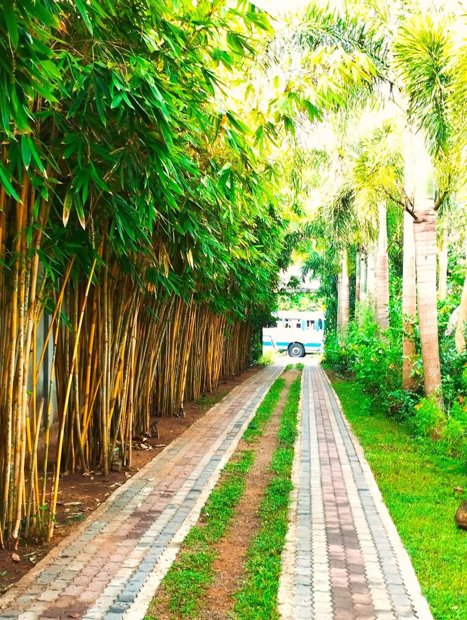 Waasala Leisure Hotel Anuradhapura Exterior foto